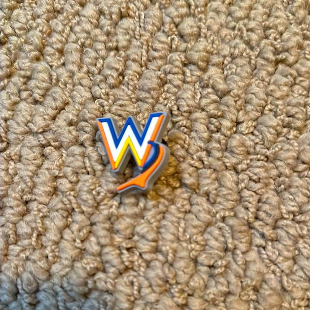 Stylish Multicolor m or w croc charm